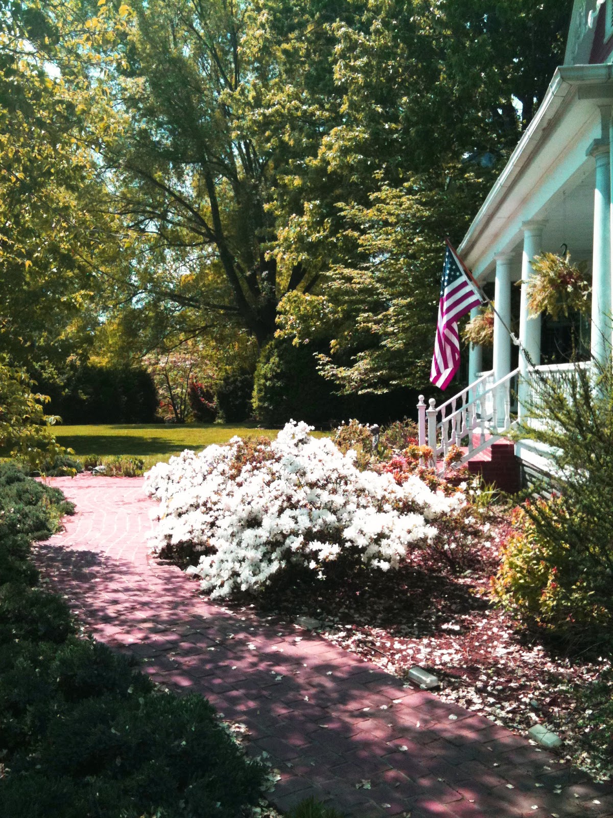 Culpeper Virginia May 2011