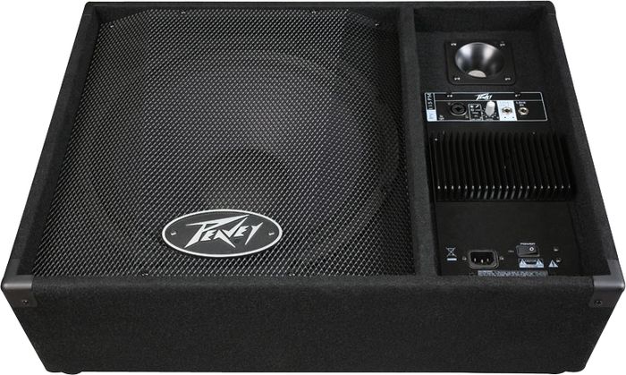 peavey wedge monitor