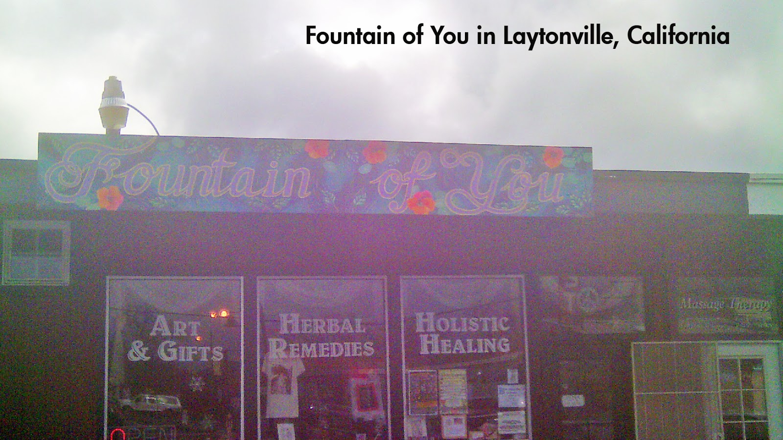 ArrestTrump Legalize Voting Lock Him UP! Photos of Laytonville