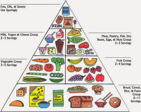 7 Components Of A Balanced Diet Pie Chart