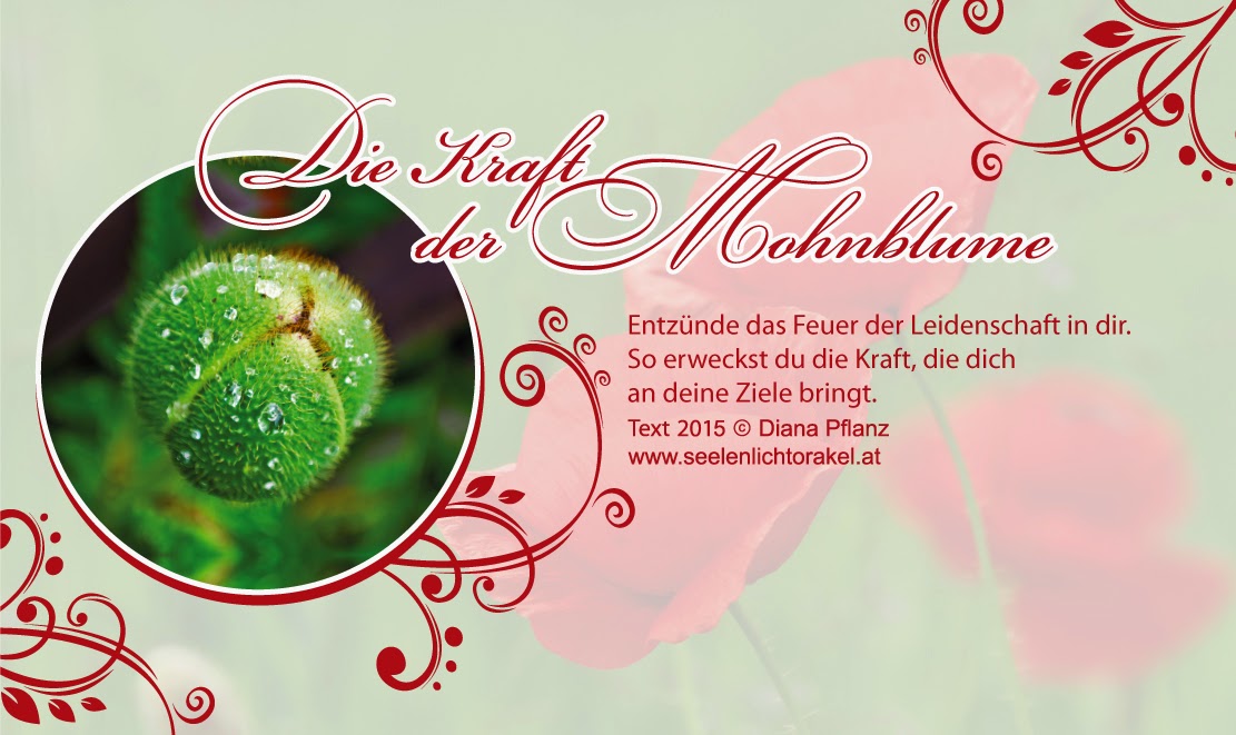 Seelenlicht Orakel Wochenbotschaft 23 03 29 03 2015