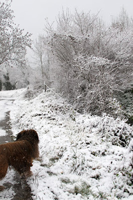 Neige Nathalie Le Reste