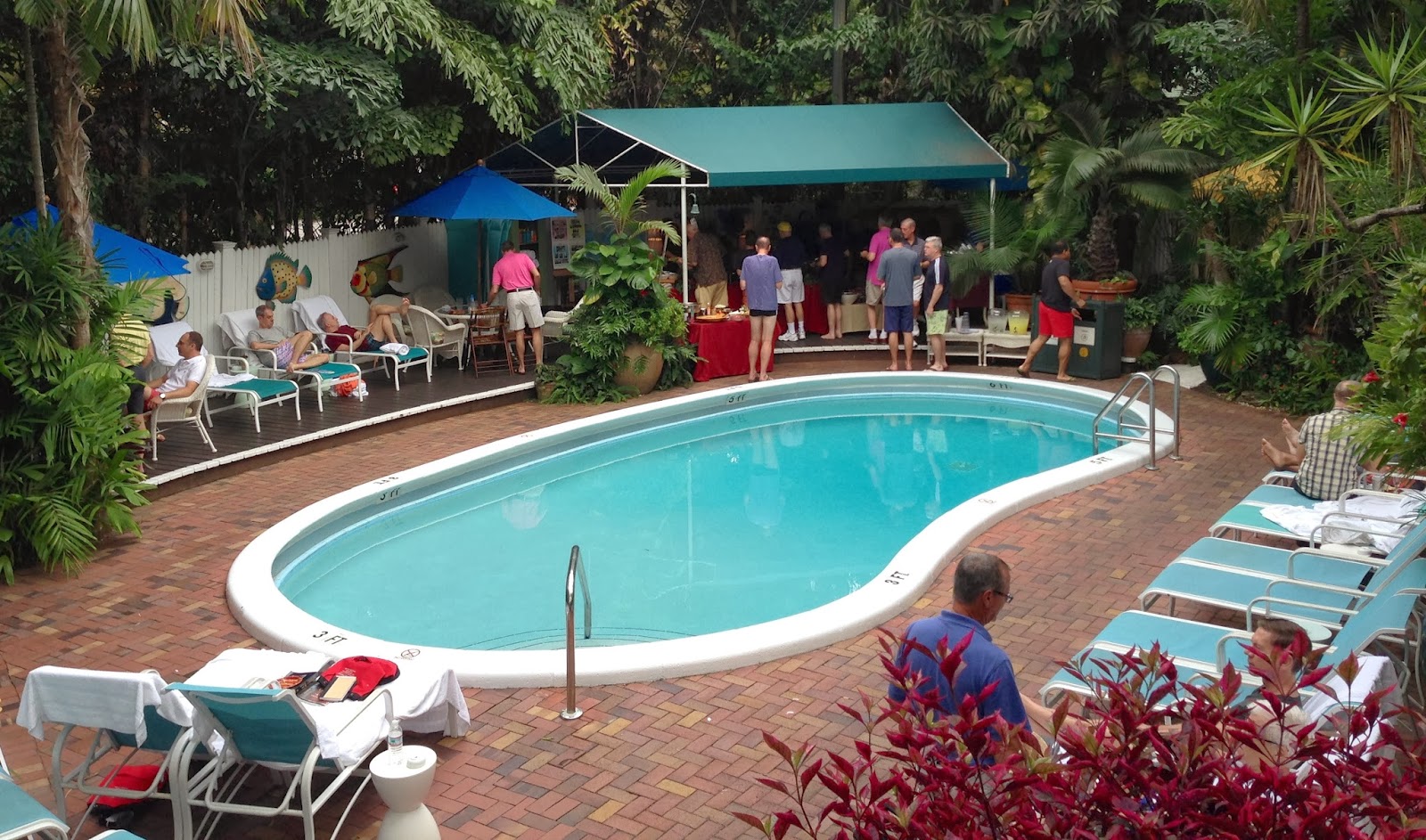 Guy Dads The golden fruit of hospitality Pineapple Point