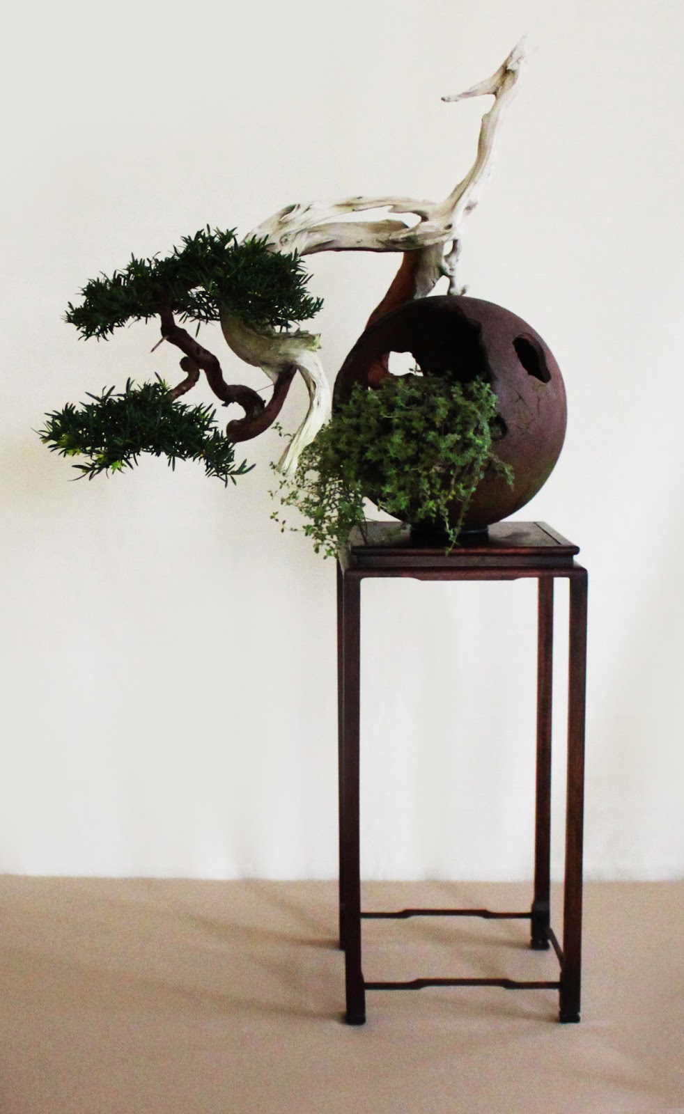 Yamadori Art UK Bonsai In Wales 2012 Yamadori Art UK Bonsai In Wales 2012