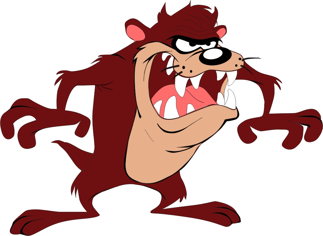 Taz Mania (seleção)