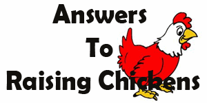 Answers To Raising Chickens - A Complete Guide To Keeping Chickens