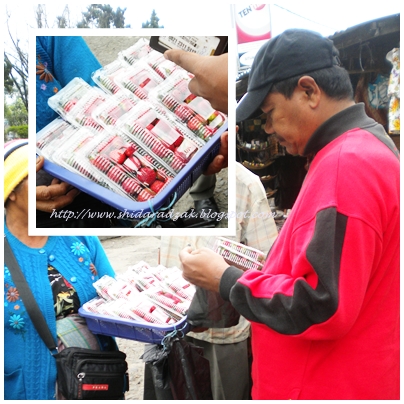 All About My Life Meday Day 3 Yeay Kami Dah Sampai Berastagi