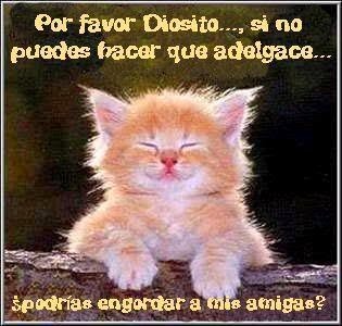 Imagenes muy chistosas Imagenes Chistosas - imagenes chistosas de mucho trabajo