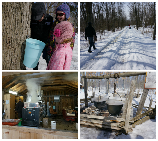 Outdoor Play Party Exploring the Maple Syrup Farm