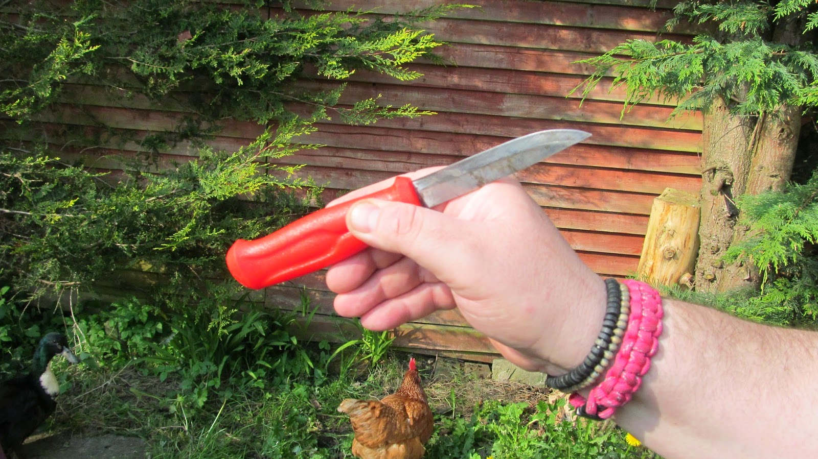BUZZARD BUSHCRAFT Passing a Knife Correctly