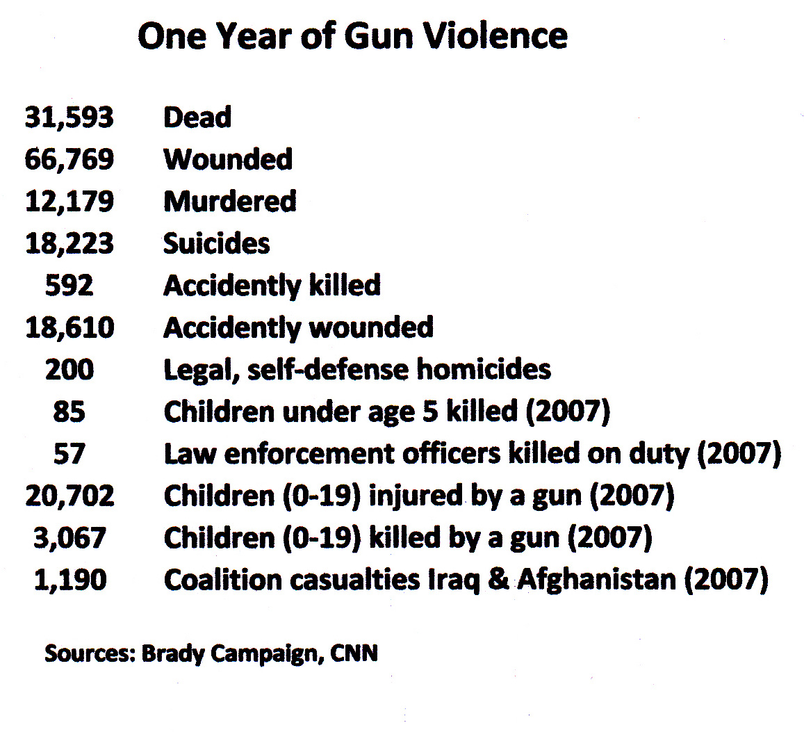 essay on gun laws