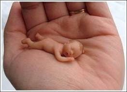 Hanimeli Parmak Cocuk