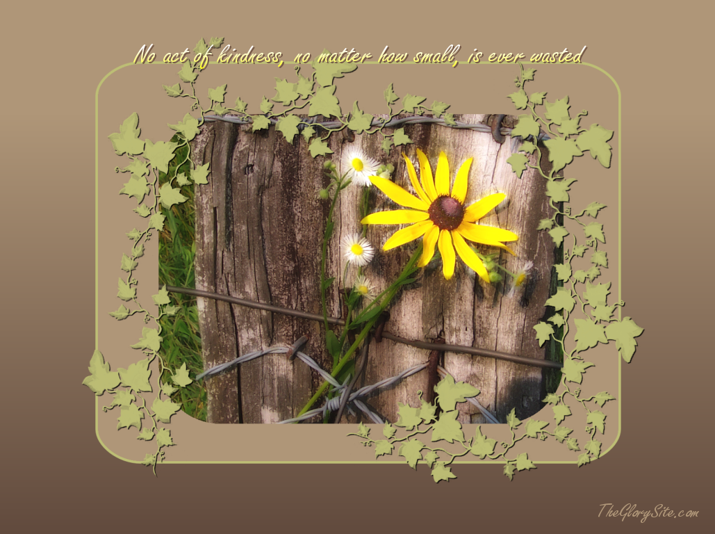 http://2.bp.blogspot.com/-g-5AqPrZ3q0/Ti7Mn6KMWjI/AAAAAAAAAeQ/5I2raPAUj5M/s1600/Free%2BInspirational%2BWallpapers.png