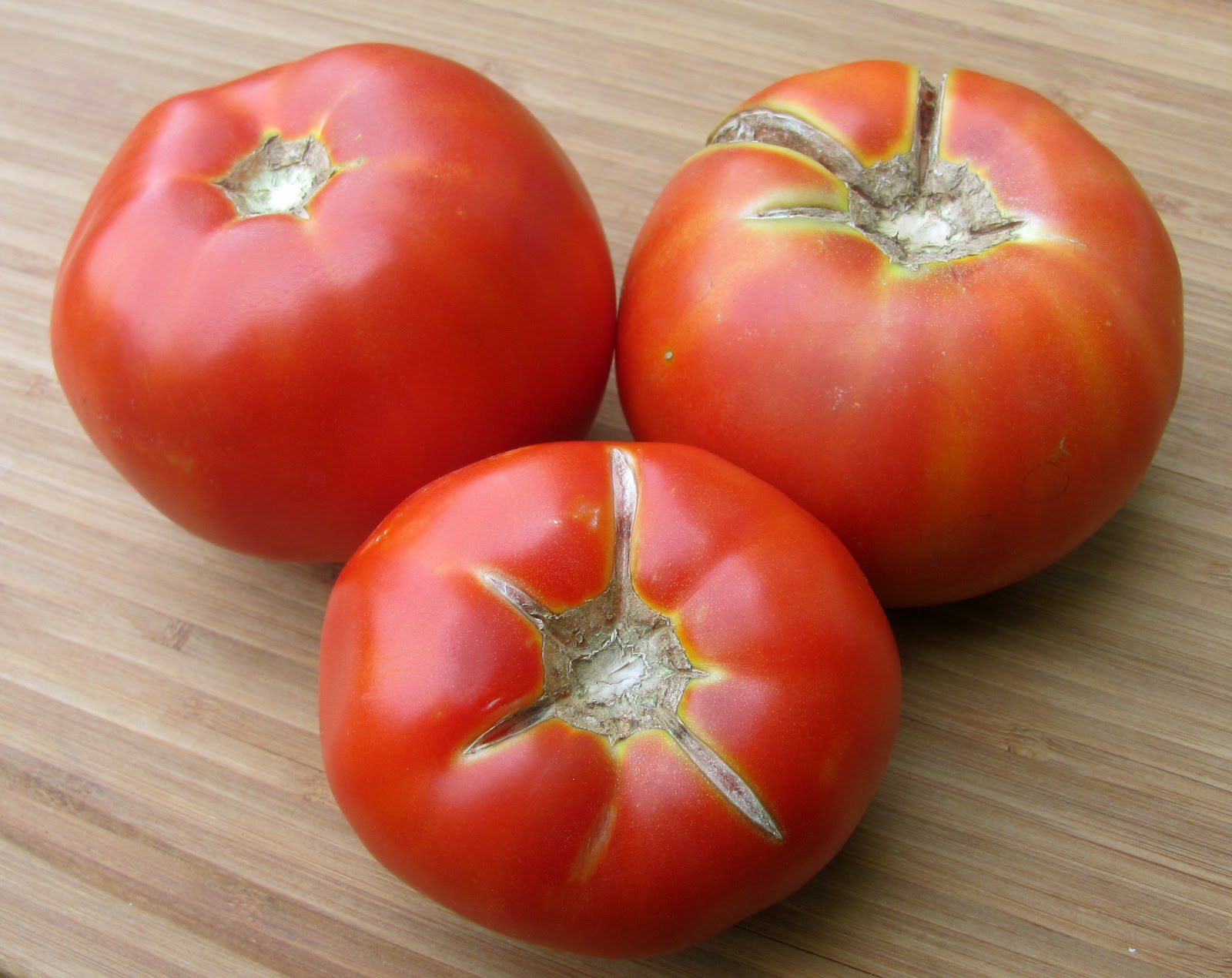 Sprinkle Some Sunshine! summertime tomato sandwich party!