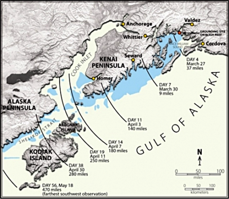 an analysis of the exxon valdez oil tanker accident An oil tanker, the exxon valdez, an analysis of the exxon valdez oil tanker accident has run aground off the alaskan coast, releasing crude oil into the sea 21-3-2017 the exxon valdez oil spill is termed as the most gruesome oil spill in the history of shippingknow the complete story of the exxon valdez oil spill in the. an analysis of the exxon valdez oil tanker accident An oil tanker, the exxon valdez, an analysis of the exxon valdez oil tanker accident has run aground off the alaskan coast, releasing crude oil into the sea 21-3-2017 the exxon valdez oil spill is termed as the most gruesome oil spill in the history of shippingknow the complete story of the exxon valdez oil spill in the.