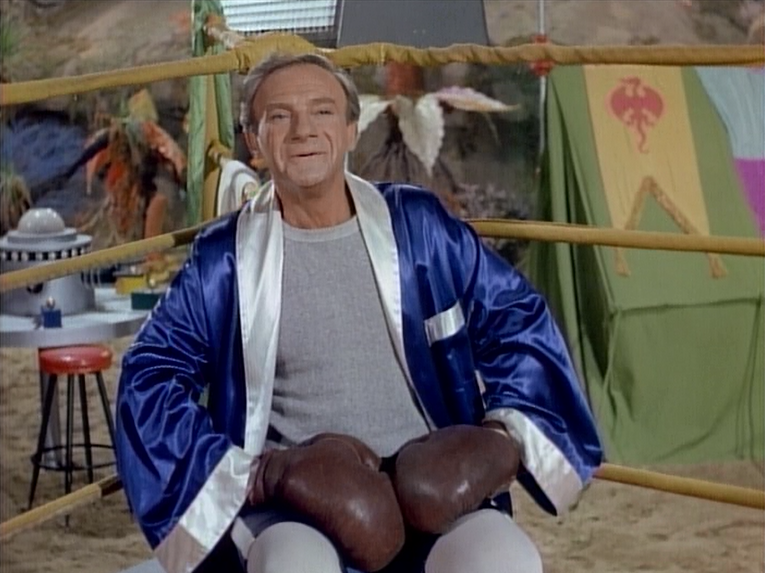 John Muir's Reflections on Cult Movies and Classic TV Lost in