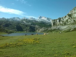 MONTES DE CANTABRIA Y ASTURIAS