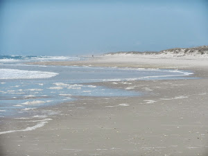 Beach Walk