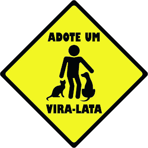 Adote um vira lata! Adote um amigo!