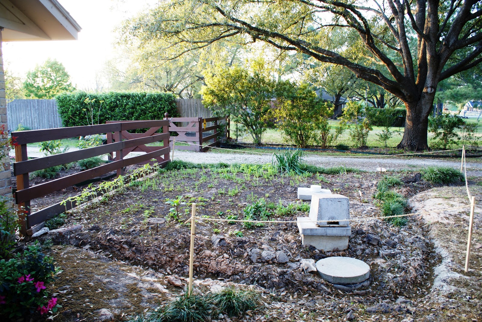 The Septic System Landscaping Dilema