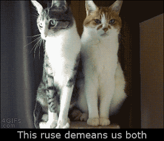 Https Encrypted Tbn0 Gstatic Com Images Q Tbn 3aand9gcrarjpdcpgpadt5ipegc2j4xdmojveogp3tgoqmd6 Zf034zozm