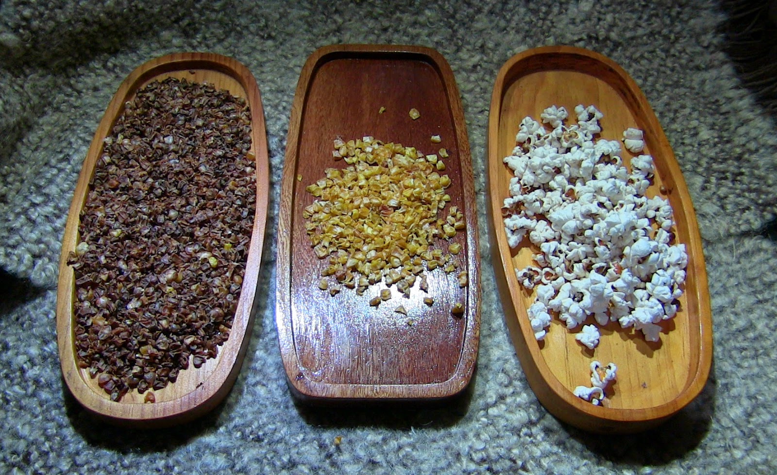 A Woodsrunner's Diary Dried, Parched & Popped corn.