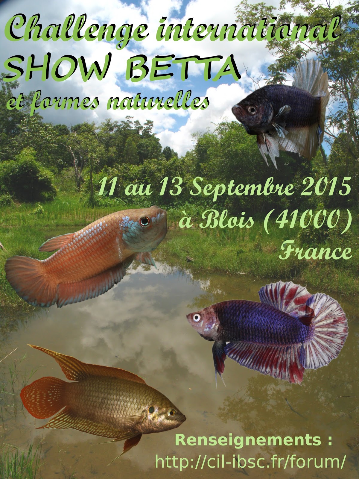 club de rencontre blois