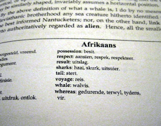 The Word Afrikaans
