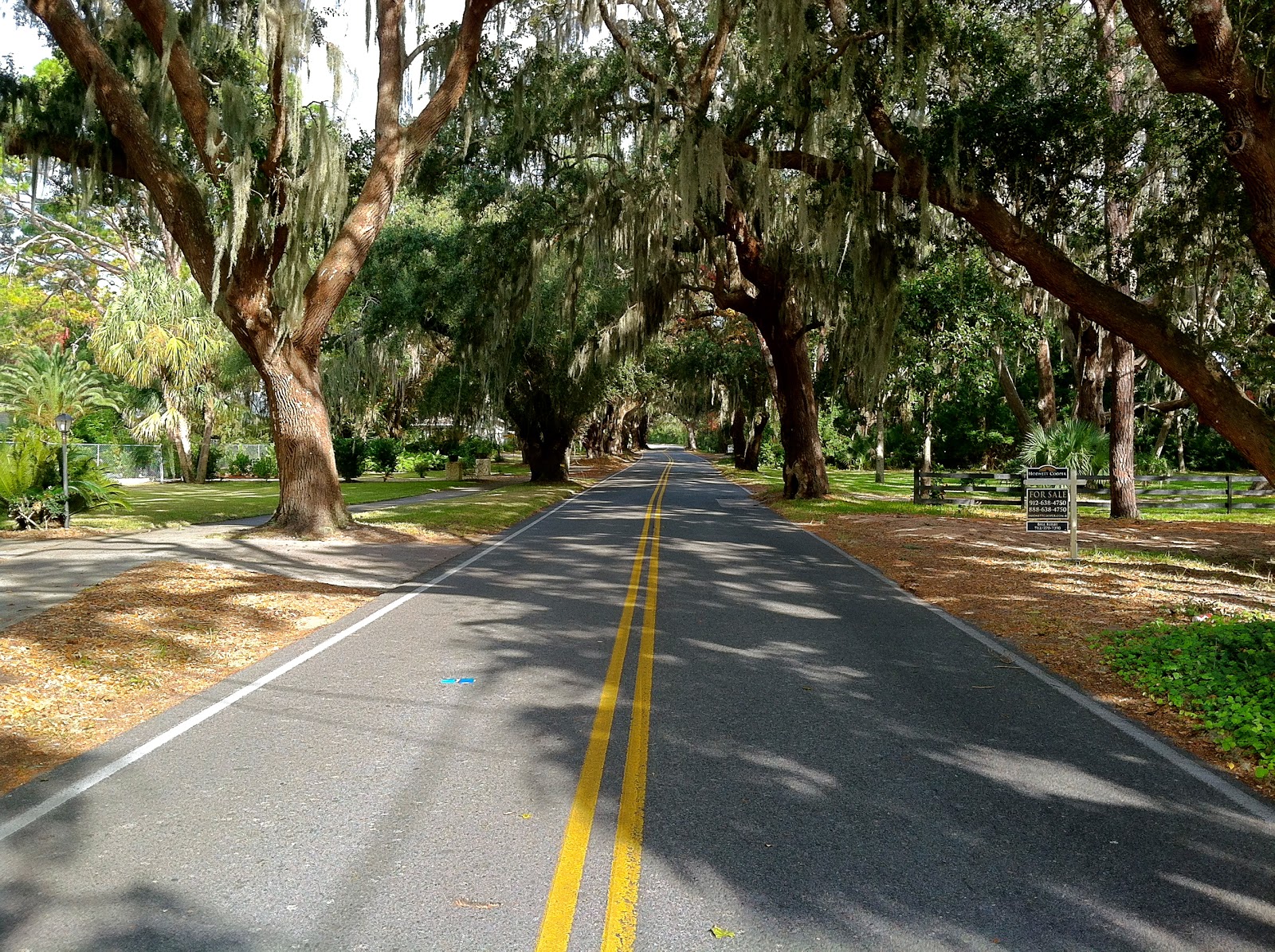 Discovering History on St. Simons Island The World of Deej