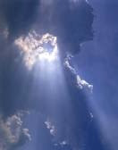 Endless Ranks of Angels