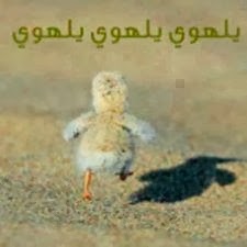 اجمد صور تعليقات للفيس بوك 2015 اجمد صور تعليقات للفيس بوك 2015