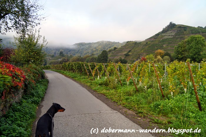 Auf Entdeckungsreise Zu Den Schatzen Der Eifel Inhalt