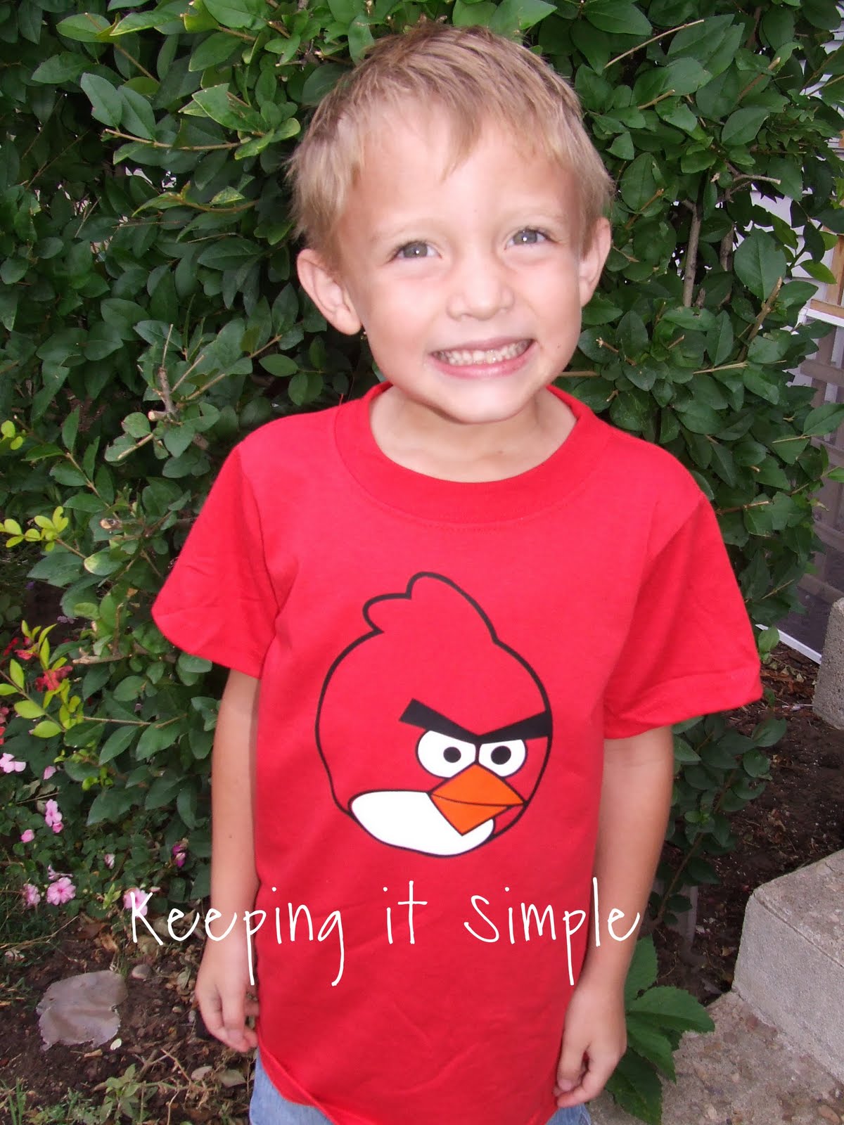 Angry Birds Shirt - Keeping it Simple