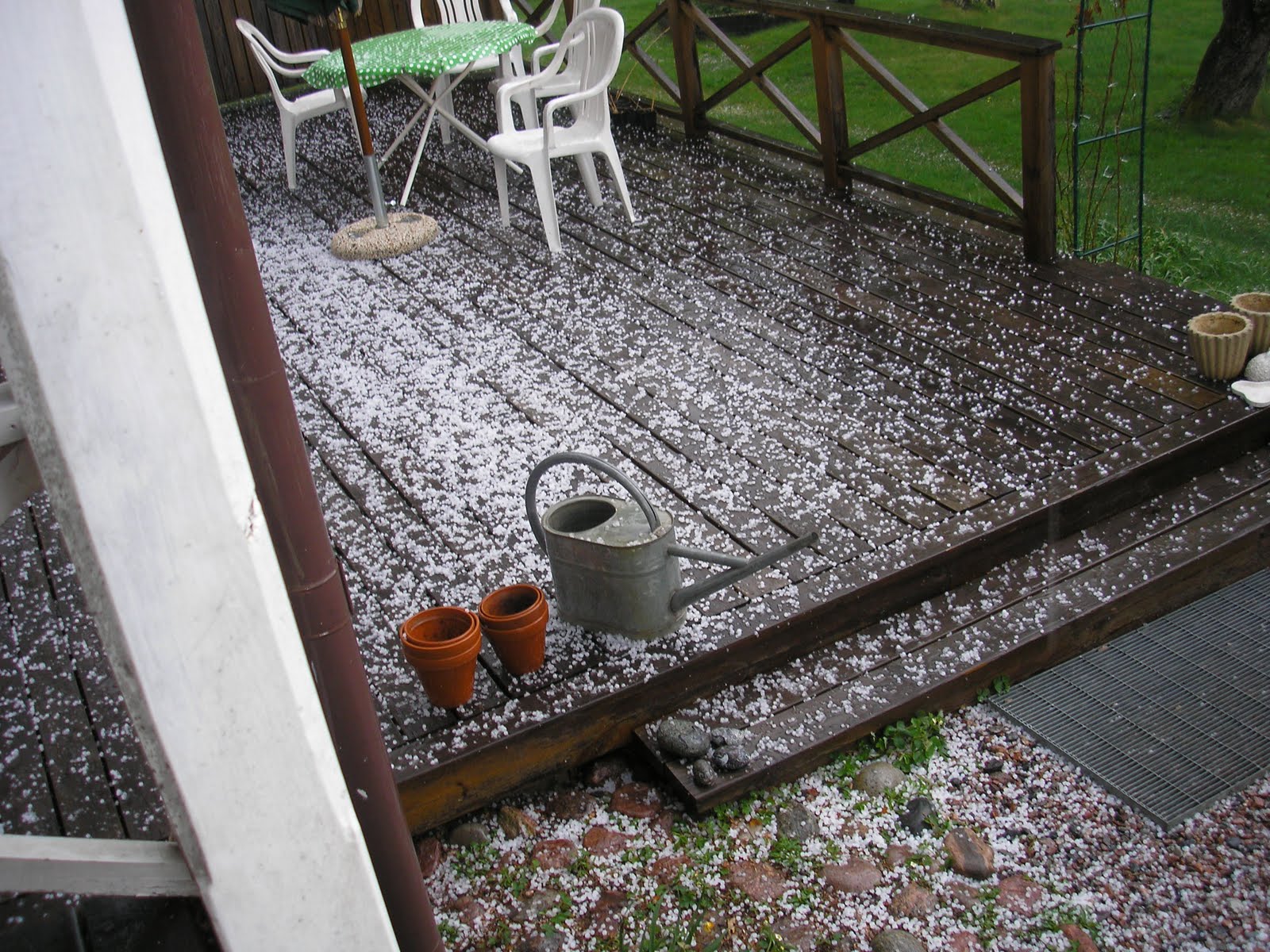 Kotteland & fridhemsparadiset: maj 2011
