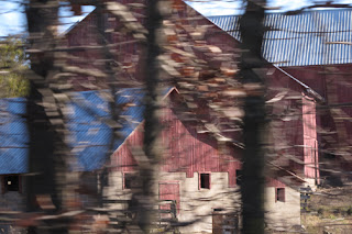 Diane Hoeptner November 2011