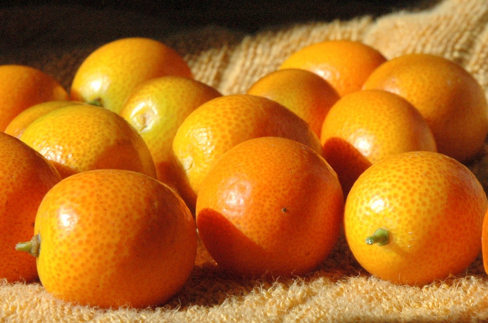 Corkboard Inspirations Canning with Kumquats
