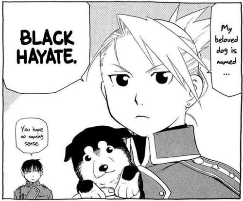 Black Hayate