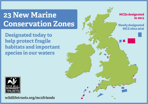 Become a friend of Marine Conservation Zones 