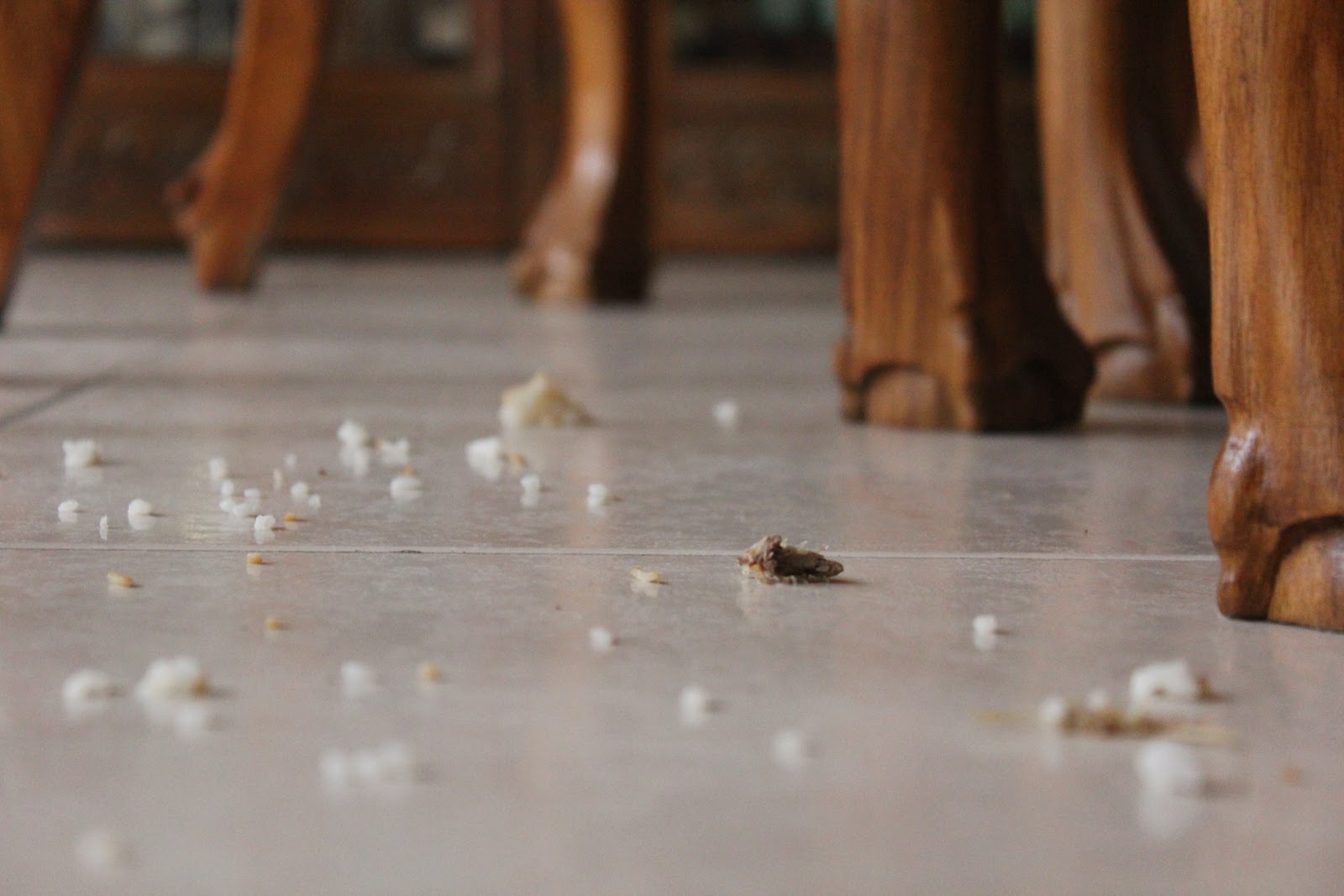 Do Not The Dogs Eat The Crumbs Do Not The Dogs Eat The Crumbs
