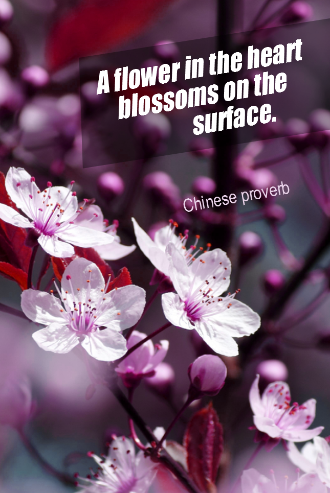 visual quote - image quotation for BEAUTY - A flower in the heart blossoms on the surface. - Chinese Proverb