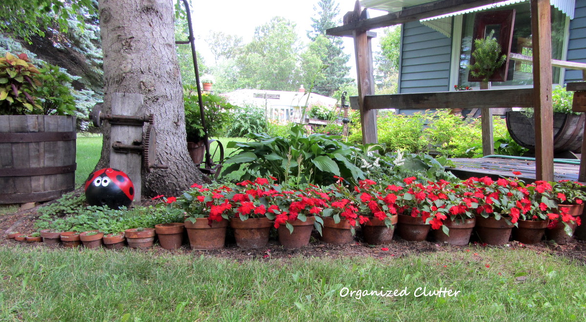 Planting Under a Spruce Tree Another Terra Cotta Pot Edging