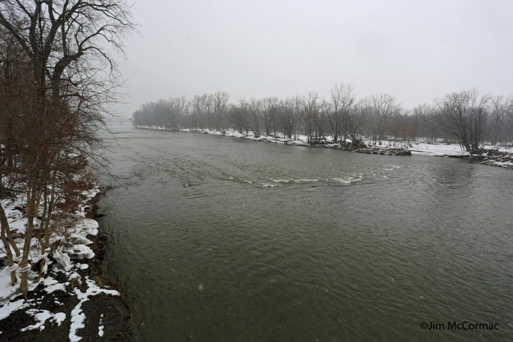 Ohio Birds and Biodiversity The Maumee River Rapids