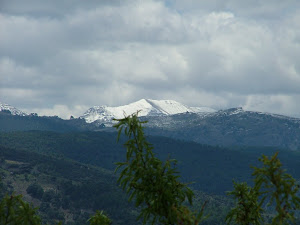 La Sagra (Granada)