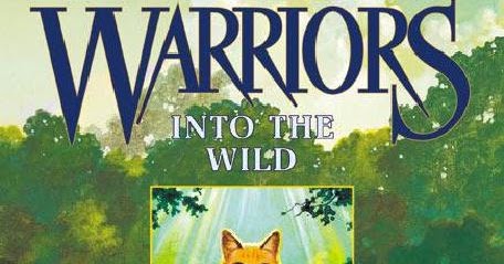 into the wild book summery into the wild book summery