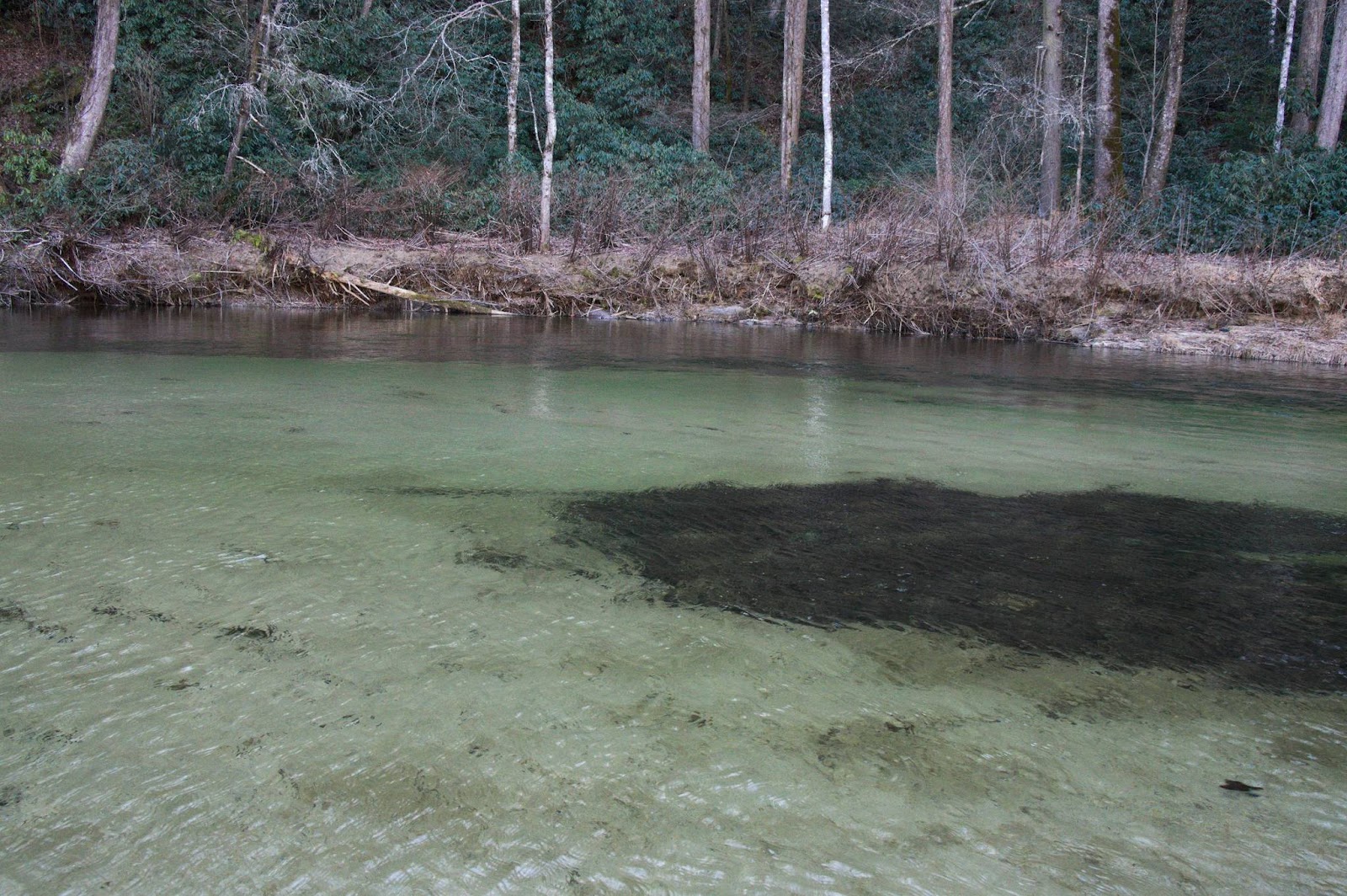 Wilson Creek and the ghost town of Mortimer