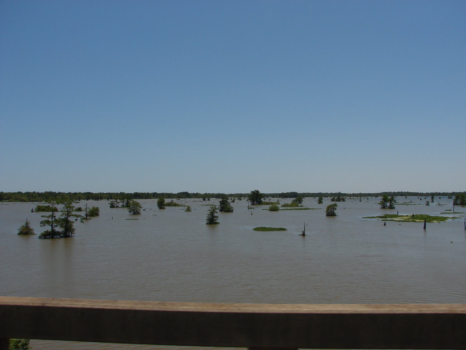 Ploughing Through Life Butte La Rose and Henderson Louisiana...BEFORE