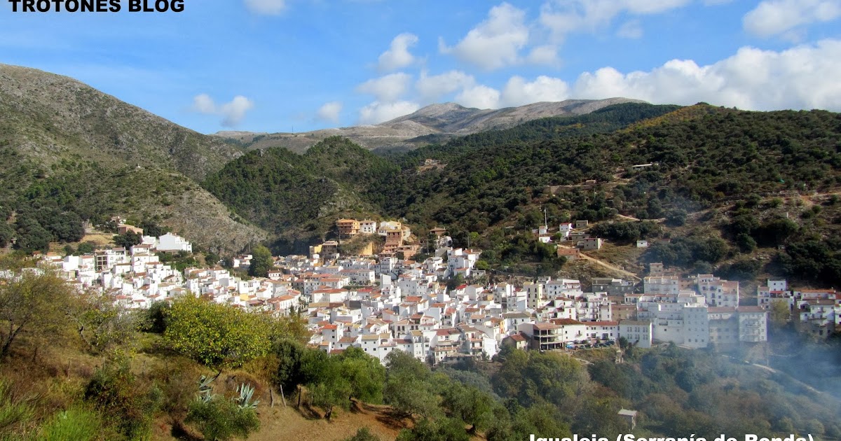 TROTONES BLOG IgualejaParauta