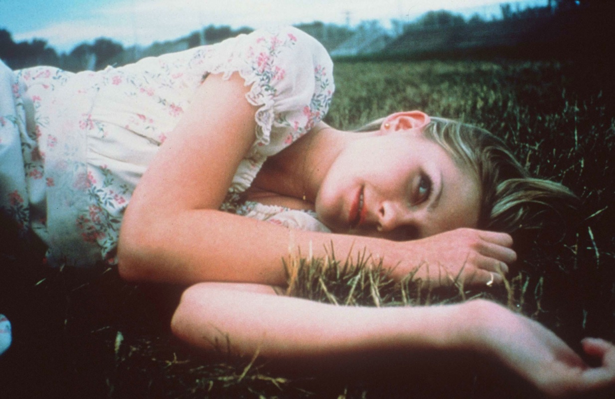 http://2.bp.blogspot.com/-g7uBtKp2a60/UEN_36w3bOI/AAAAAAAABRU/wRQ3VIQ1I-c/s1600/Virgin+Suicides.jpg