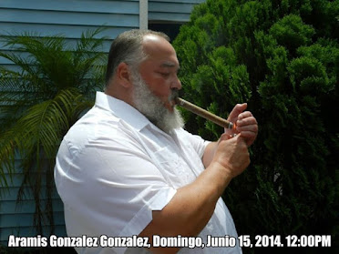 Aramis Gonzalez Gonzalez, Junio 15, 2014, 12.00PM En Tampa, Florida, EE.UU.