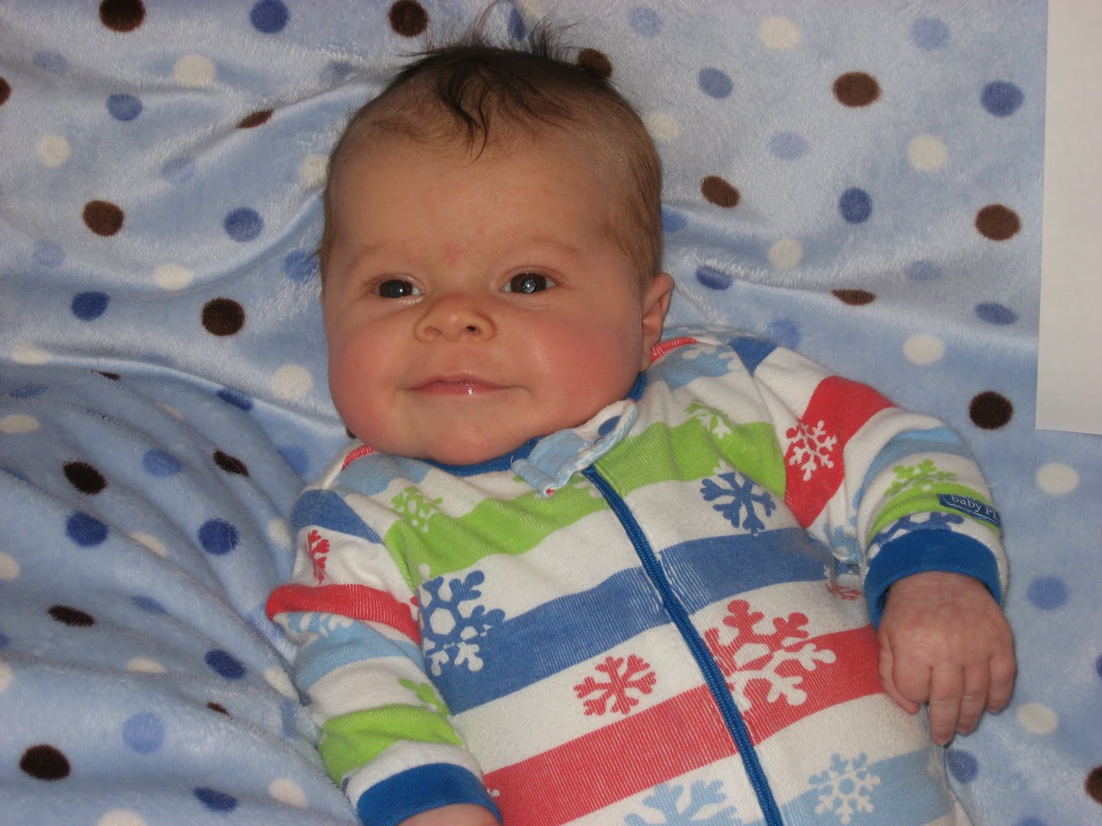 parker is two months old today ...